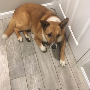 Meet your Posher, Ann